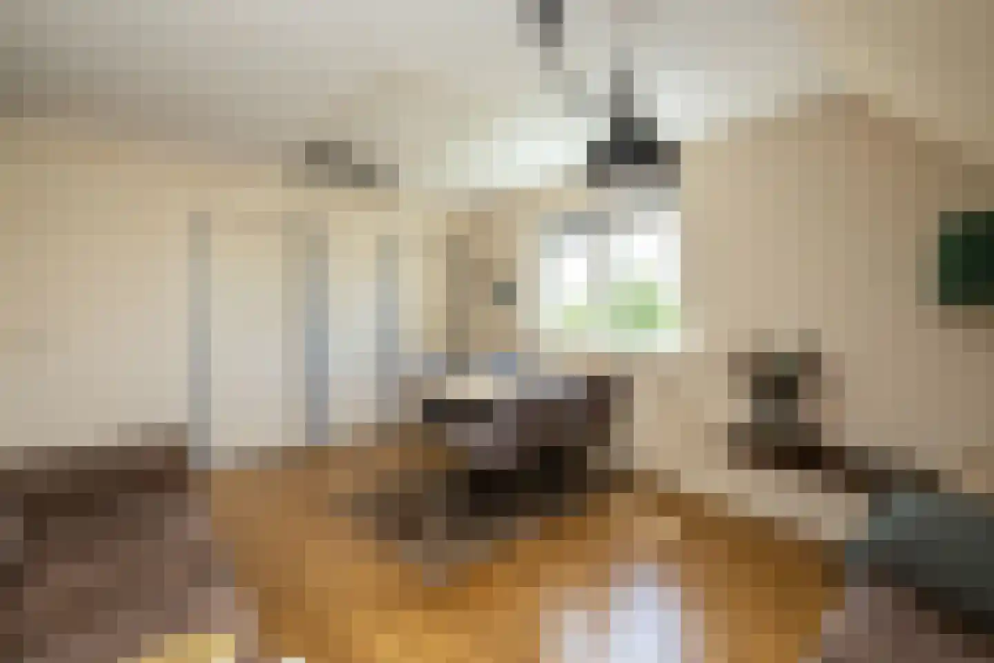 Kruilier 2 Wateringen thumbnail 32