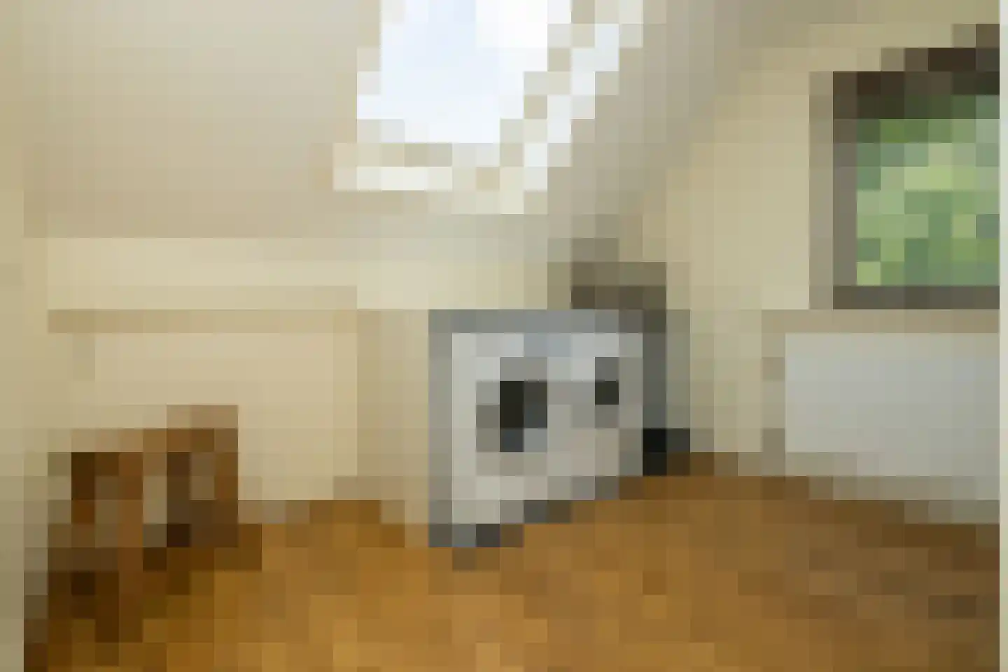 Kruilier 2 Wateringen thumbnail 33