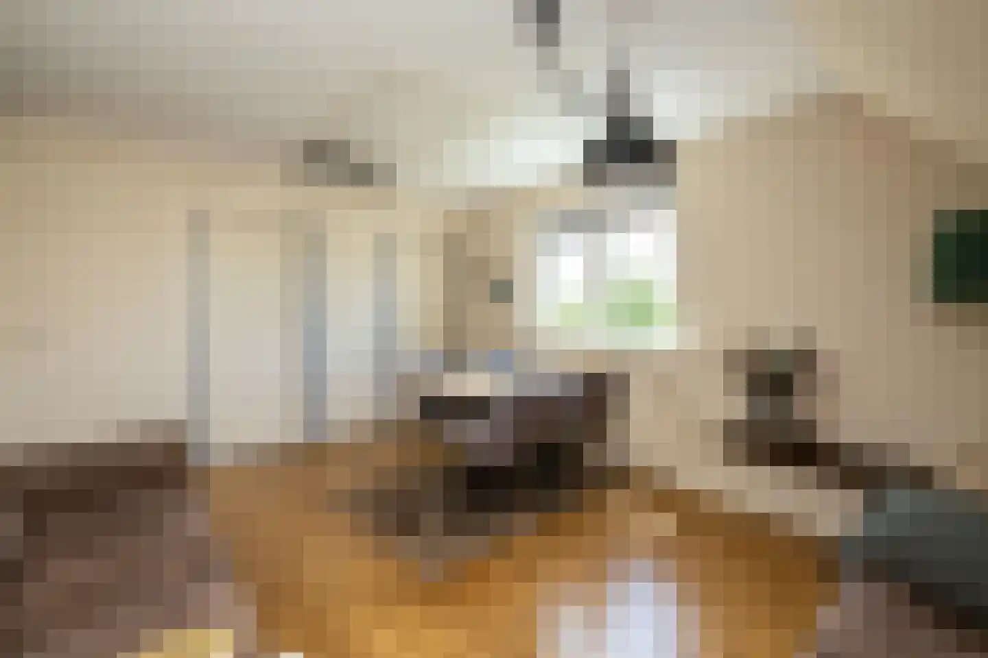 Kruilier 2 Wateringen thumbnail 33