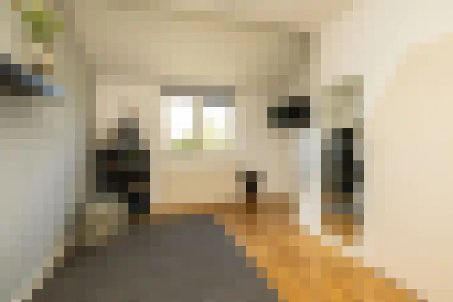 Kruilier 2 Wateringen thumbnail 34