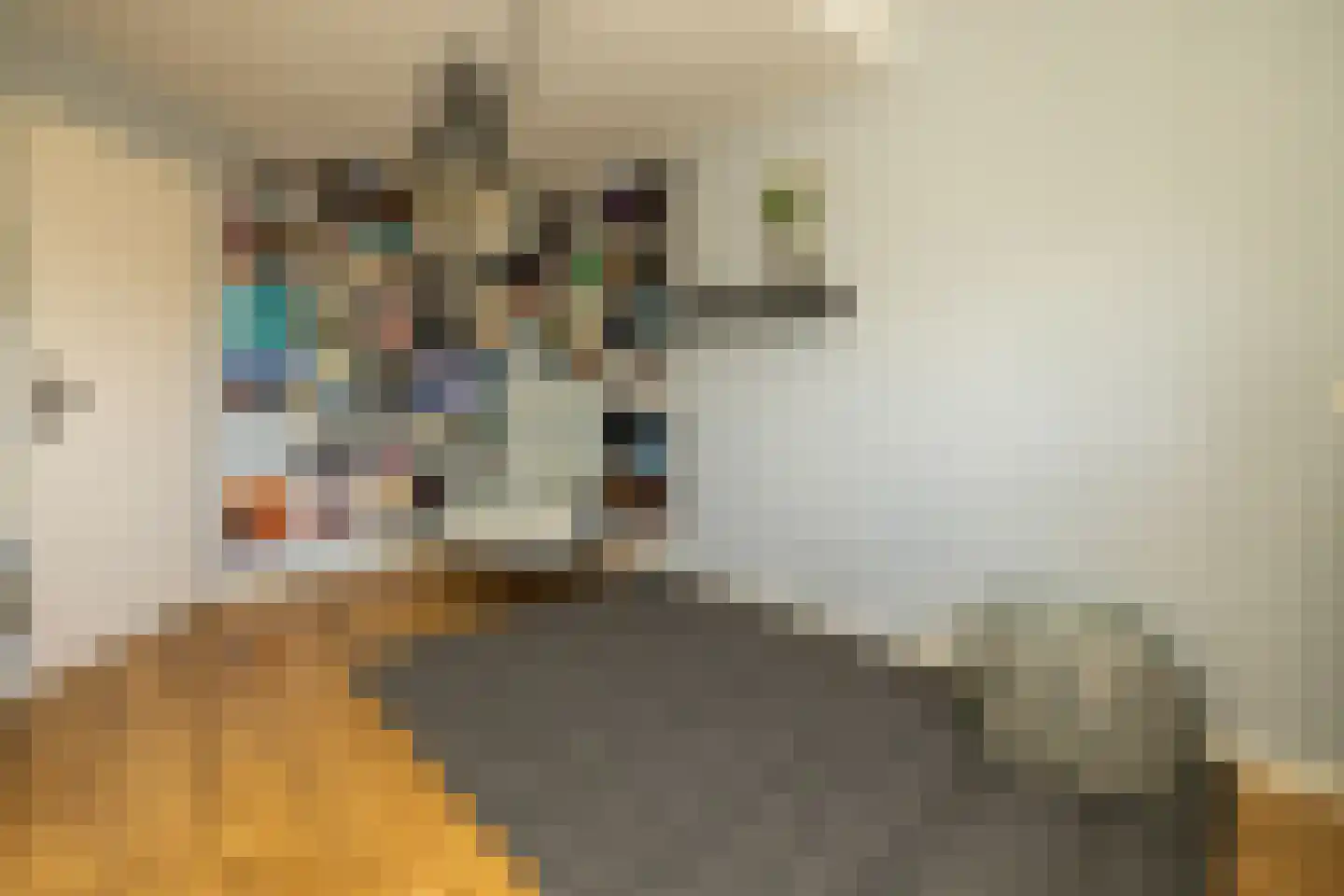 Kruilier 2 Wateringen thumbnail 35