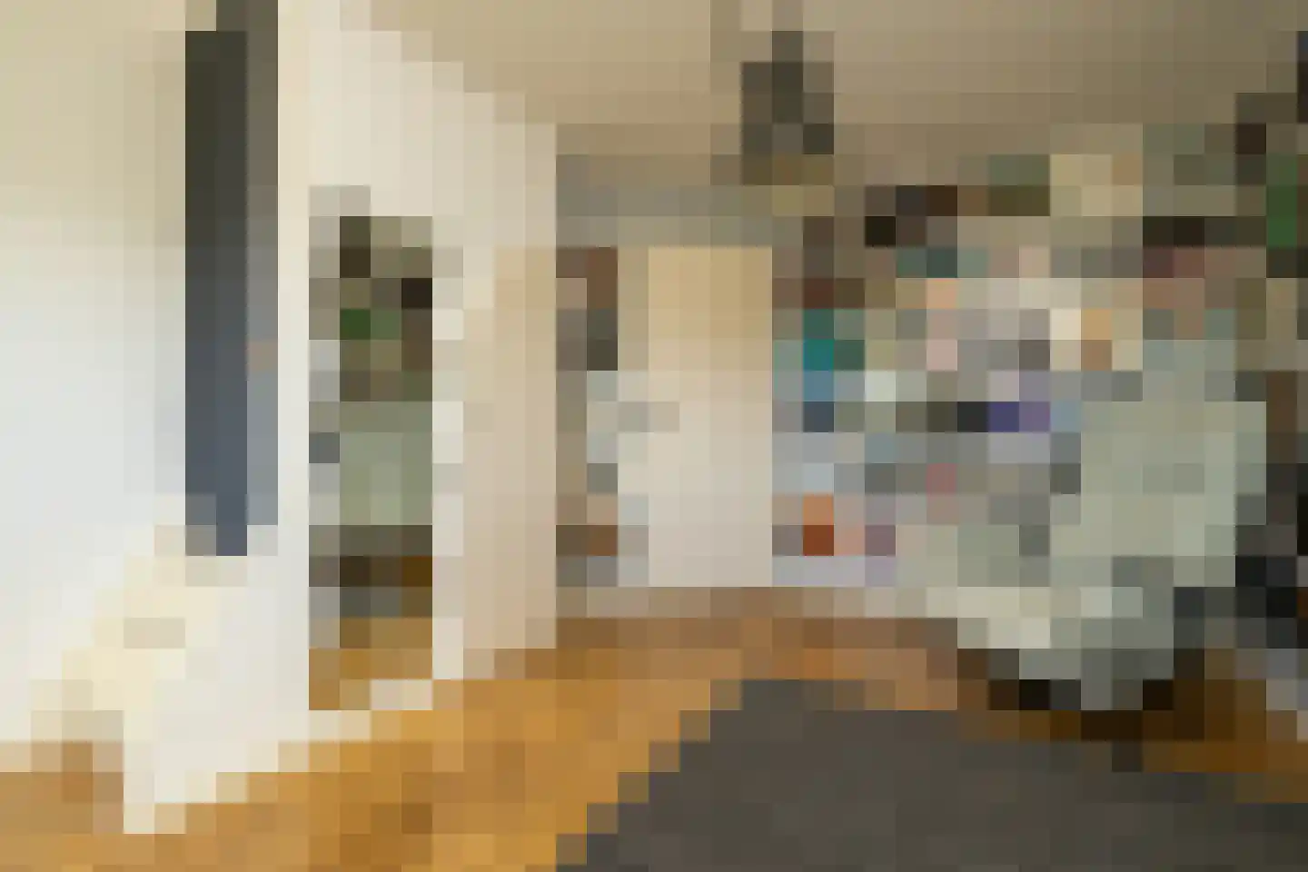 Kruilier 2 Wateringen thumbnail 36