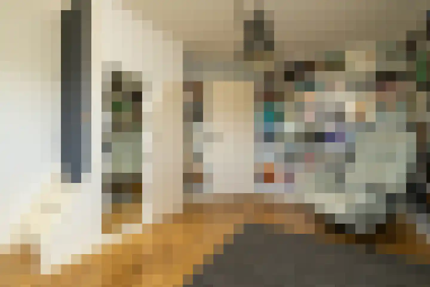 Kruilier 2 Wateringen thumbnail 37