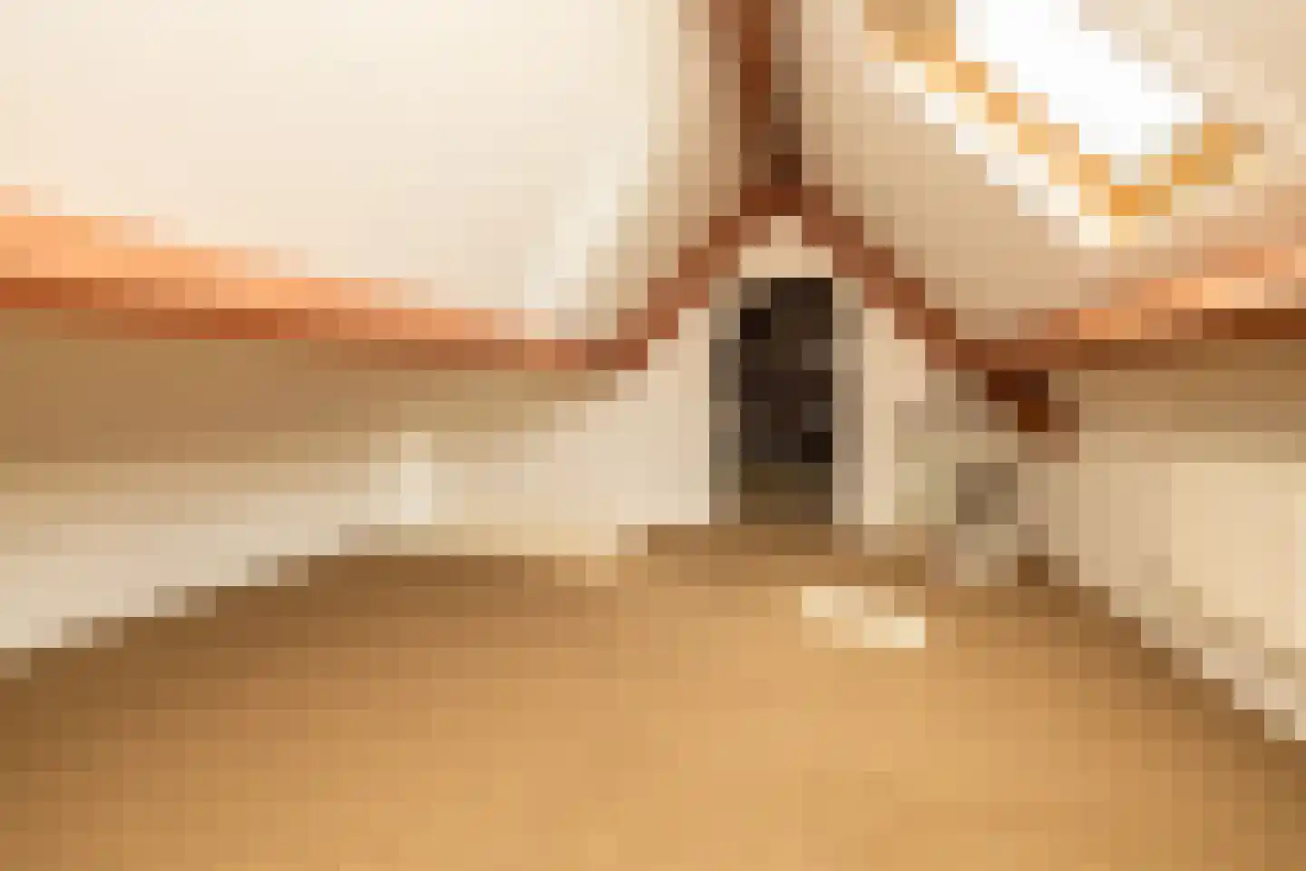 Kruilier 2 Wateringen thumbnail 37