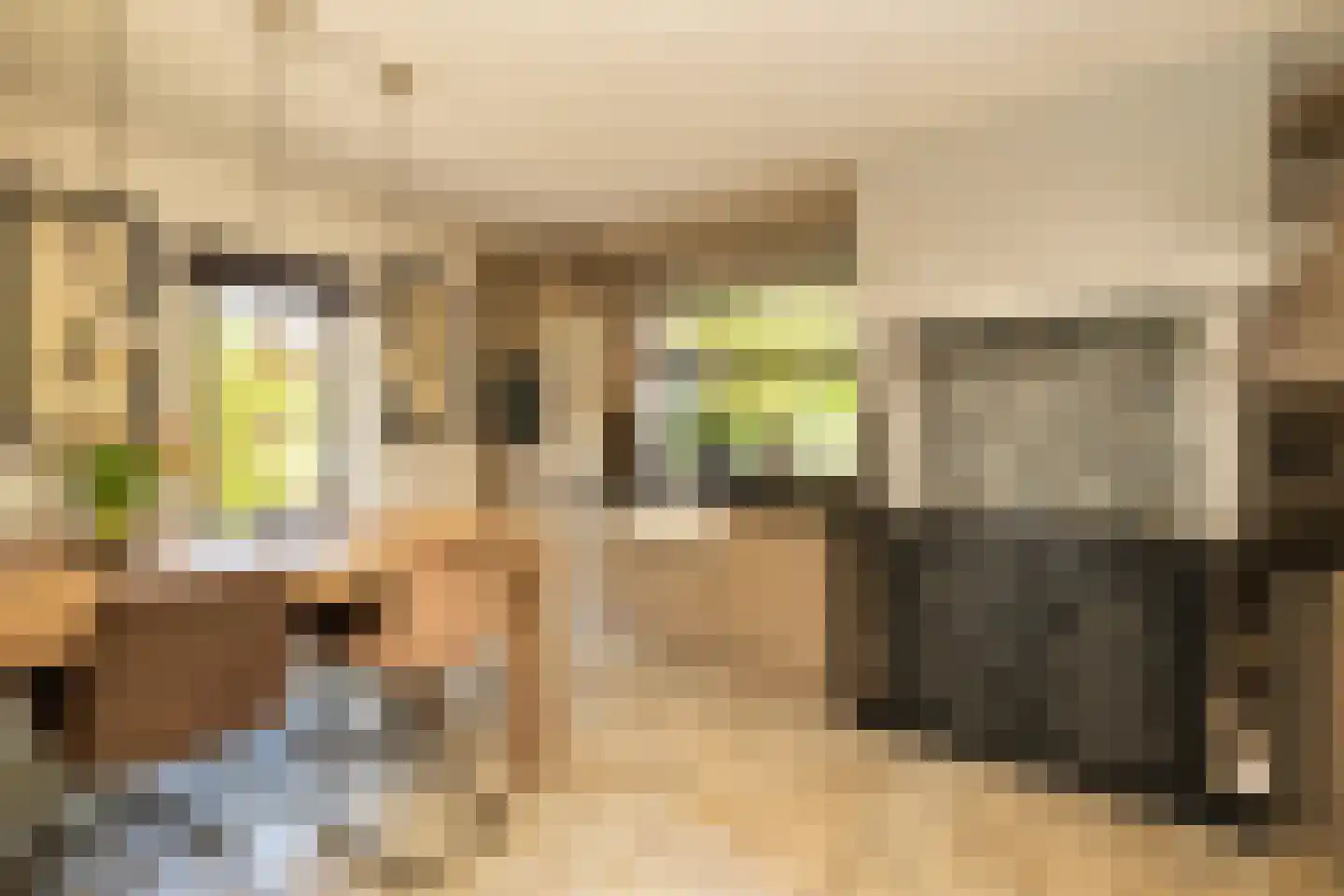Kruilier 2 Wateringen thumbnail 4