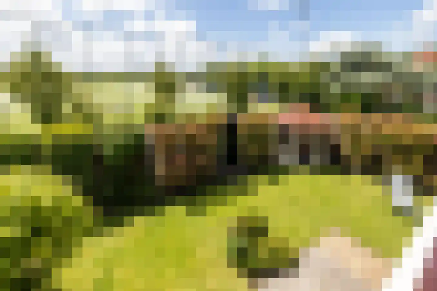 Kruilier 2 Wateringen thumbnail 40