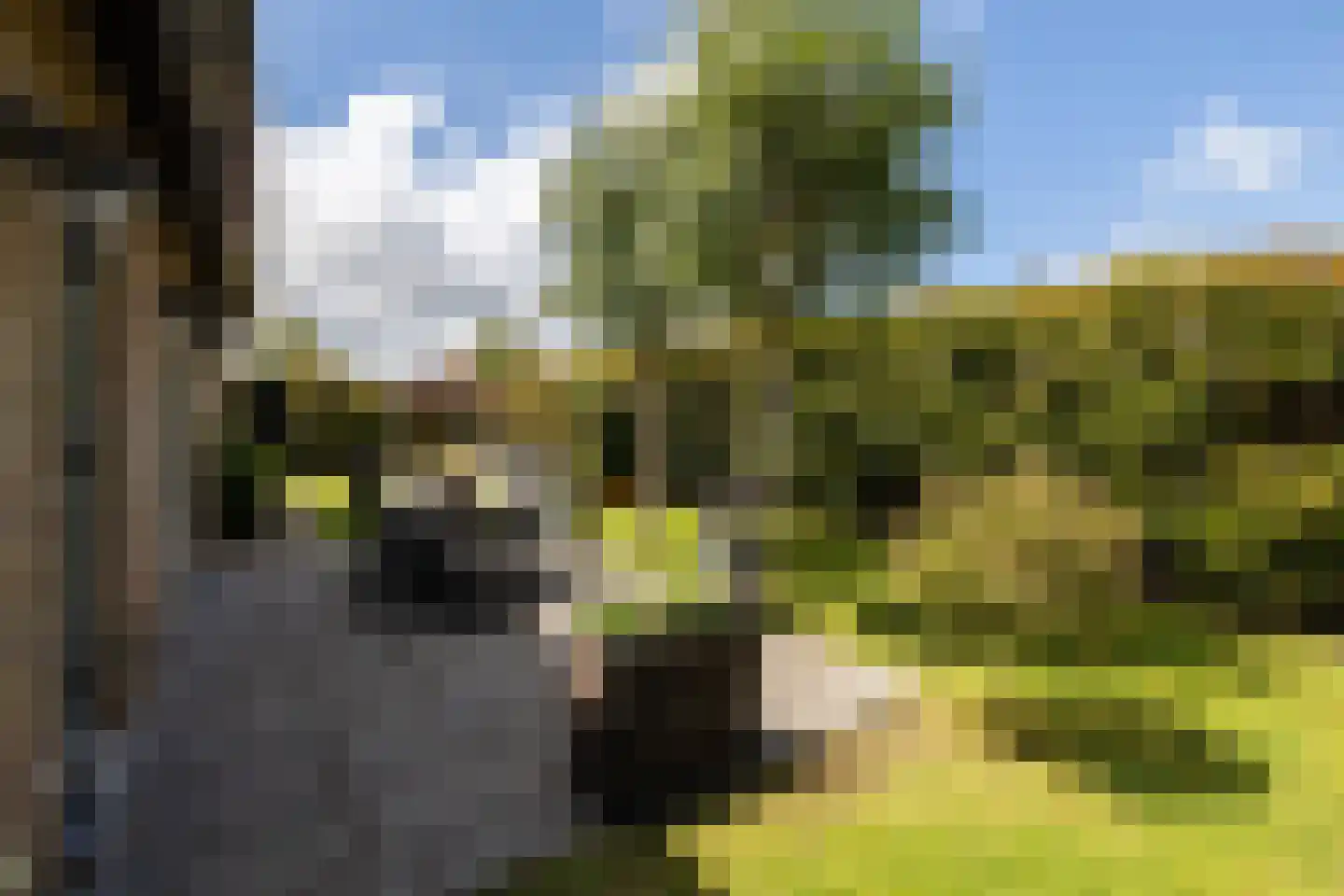 Kruilier 2 Wateringen thumbnail 41