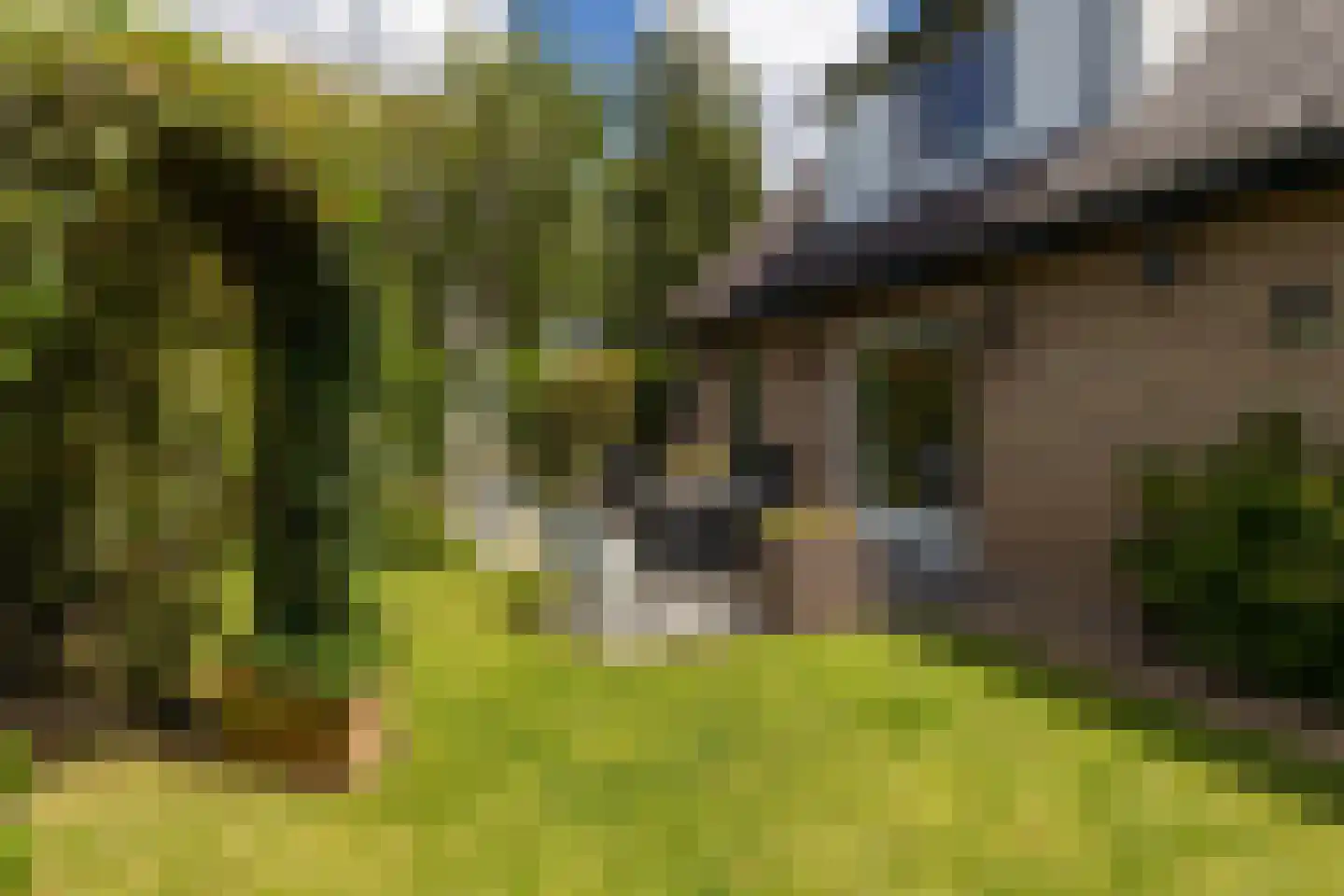 Kruilier 2 Wateringen thumbnail 43