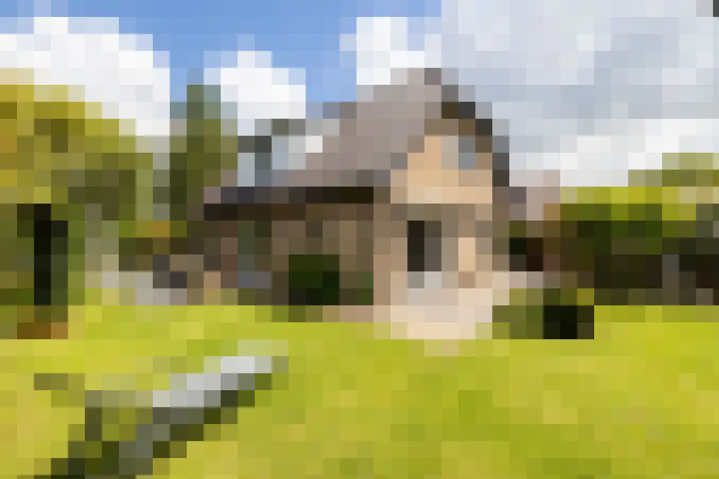 Kruilier 2 Wateringen thumbnail 45
