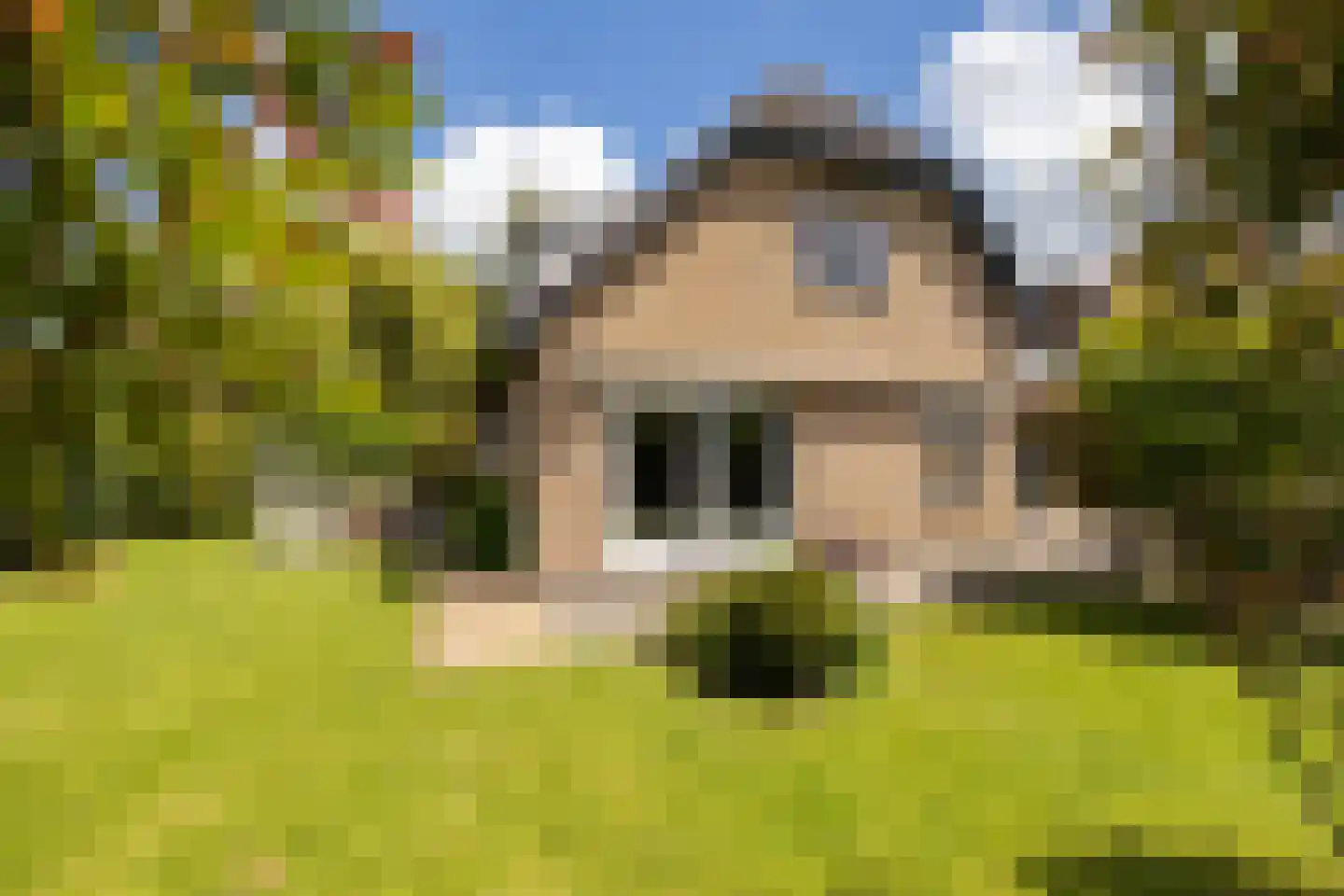 Kruilier 2 Wateringen thumbnail 46