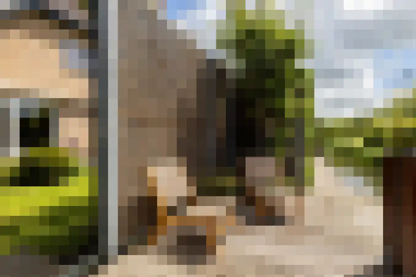 Kruilier 2 Wateringen thumbnail 47
