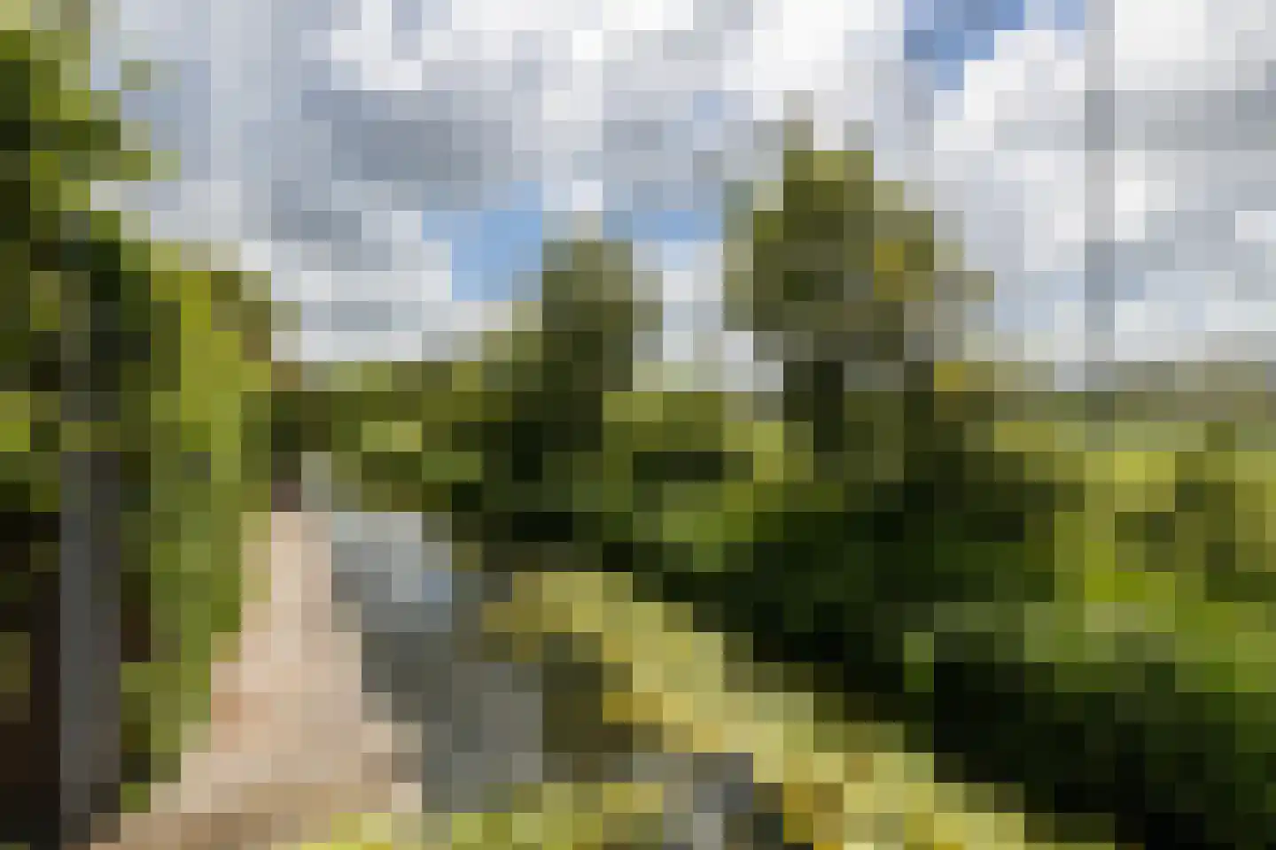 Kruilier 2 Wateringen thumbnail 48