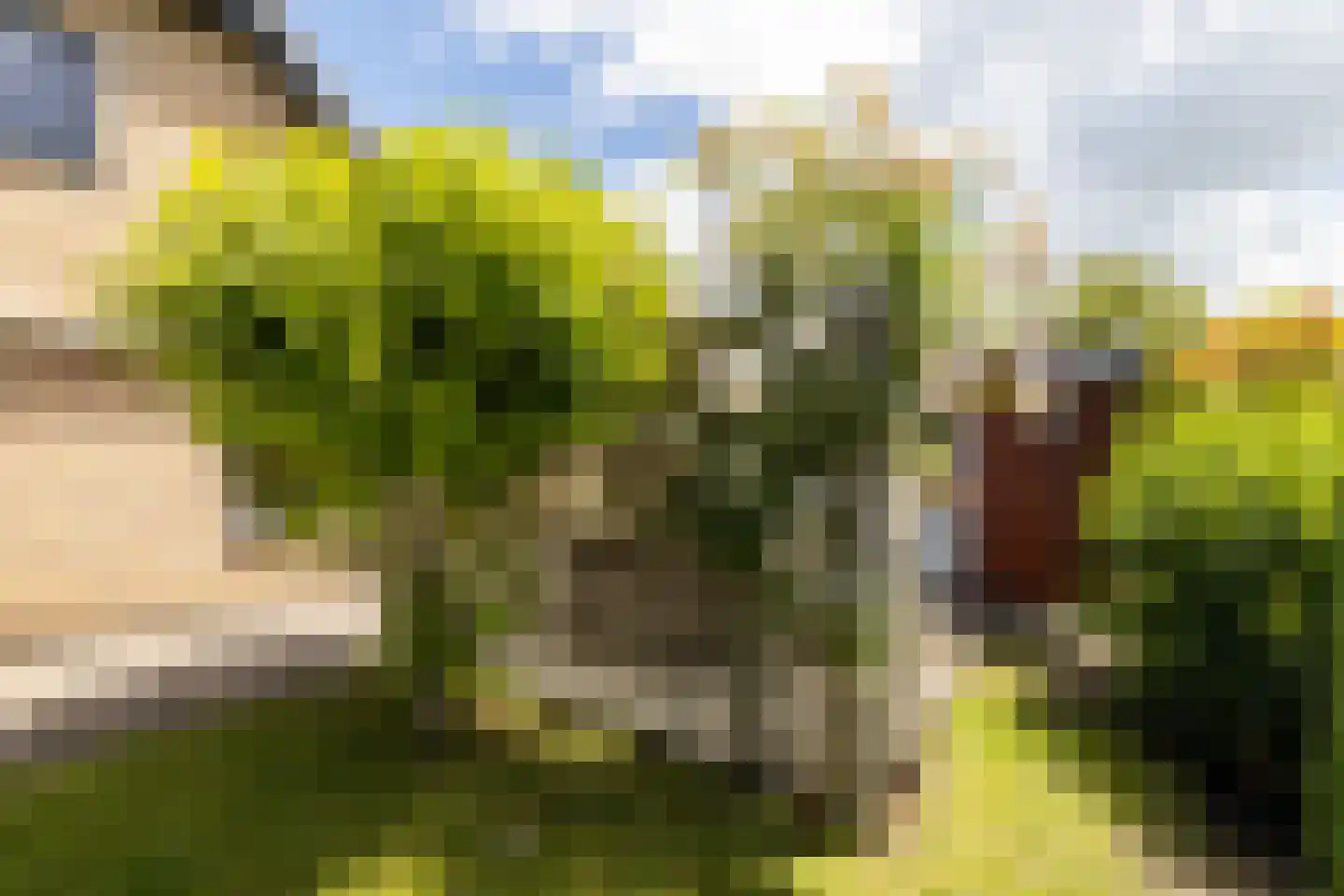 Kruilier 2 Wateringen thumbnail 49
