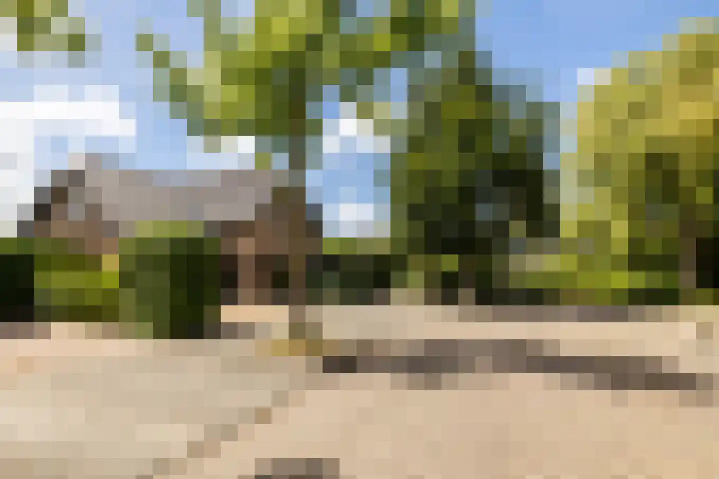 Kruilier 2 Wateringen thumbnail 5