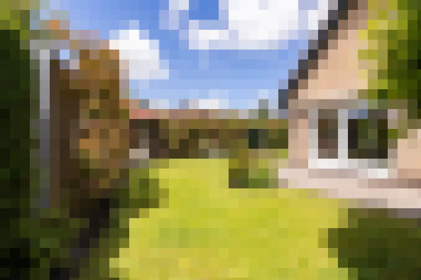 Kruilier 2 Wateringen thumbnail 50