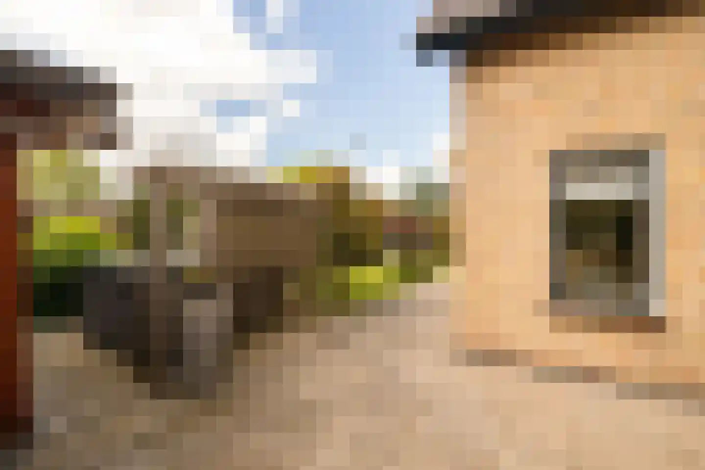 Kruilier 2 Wateringen thumbnail 52
