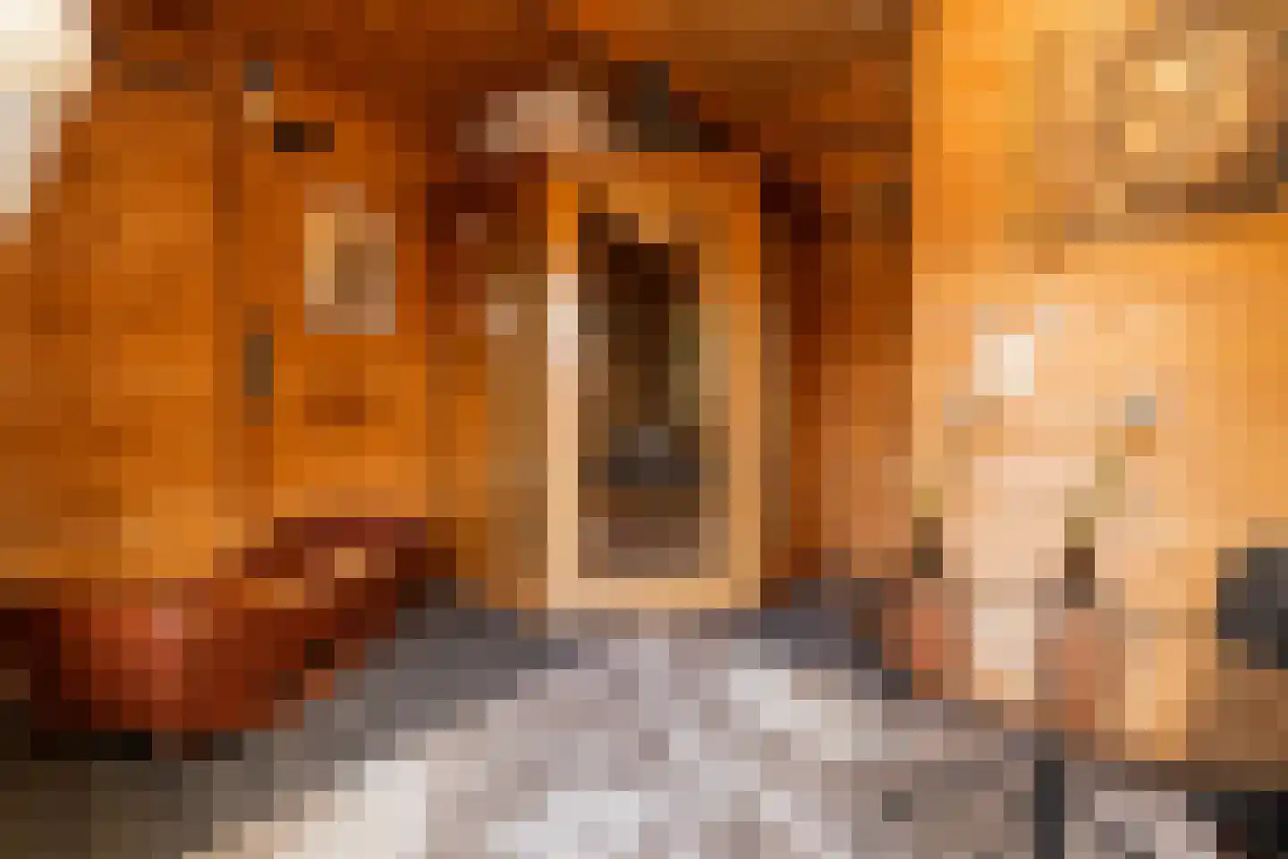 Kruilier 2 Wateringen thumbnail 53