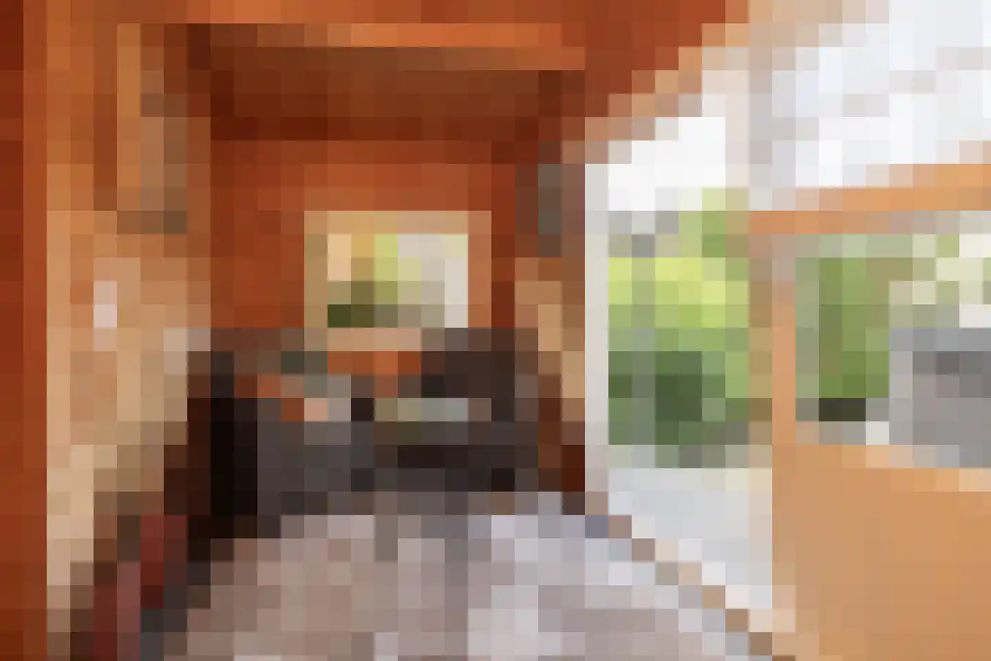 Kruilier 2 Wateringen thumbnail 54