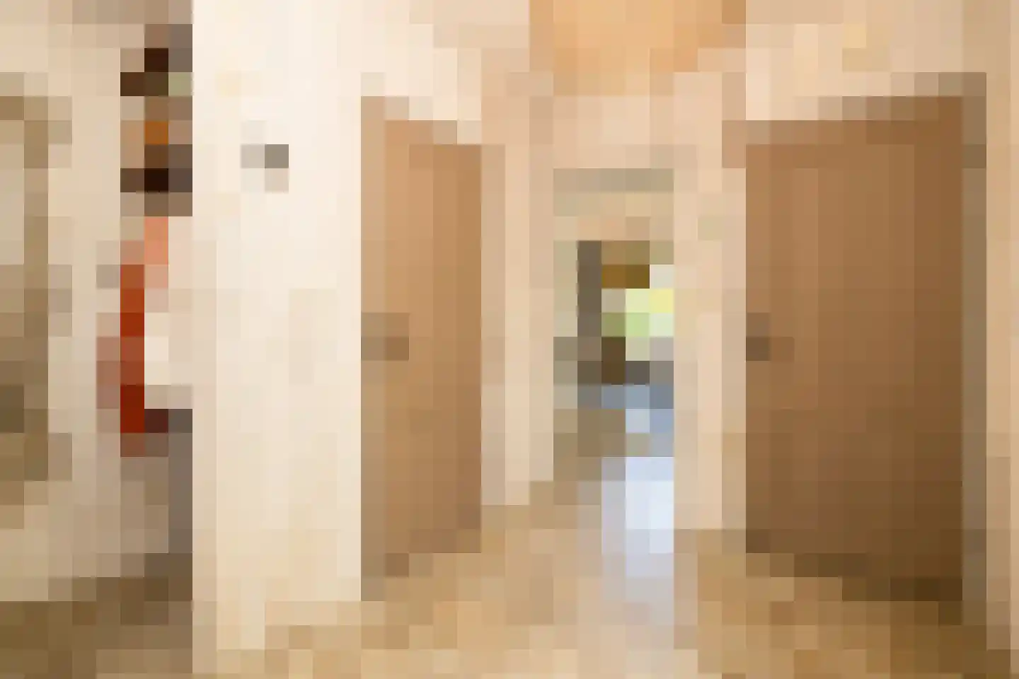 Kruilier 2 Wateringen thumbnail 8