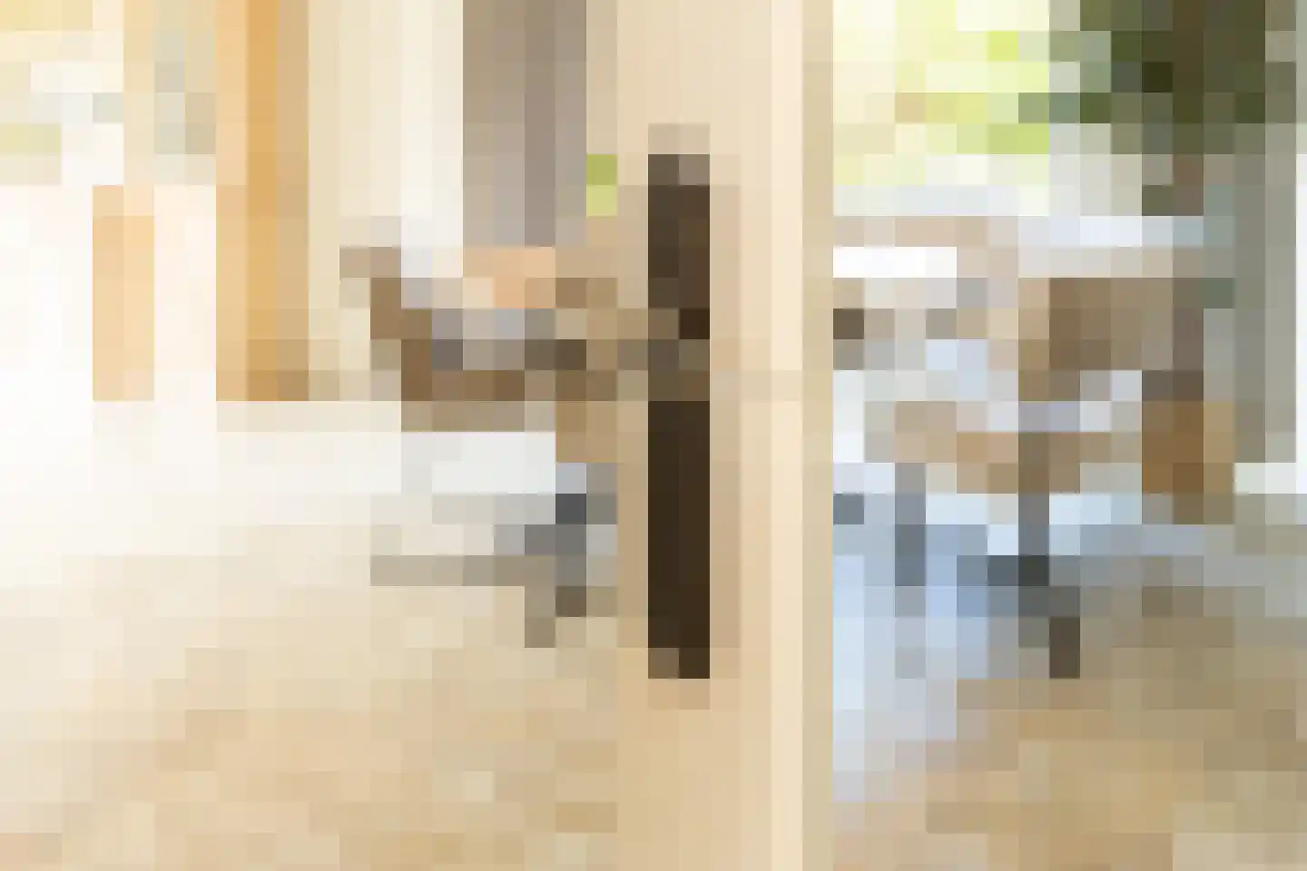 Kruilier 2 Wateringen thumbnail 9