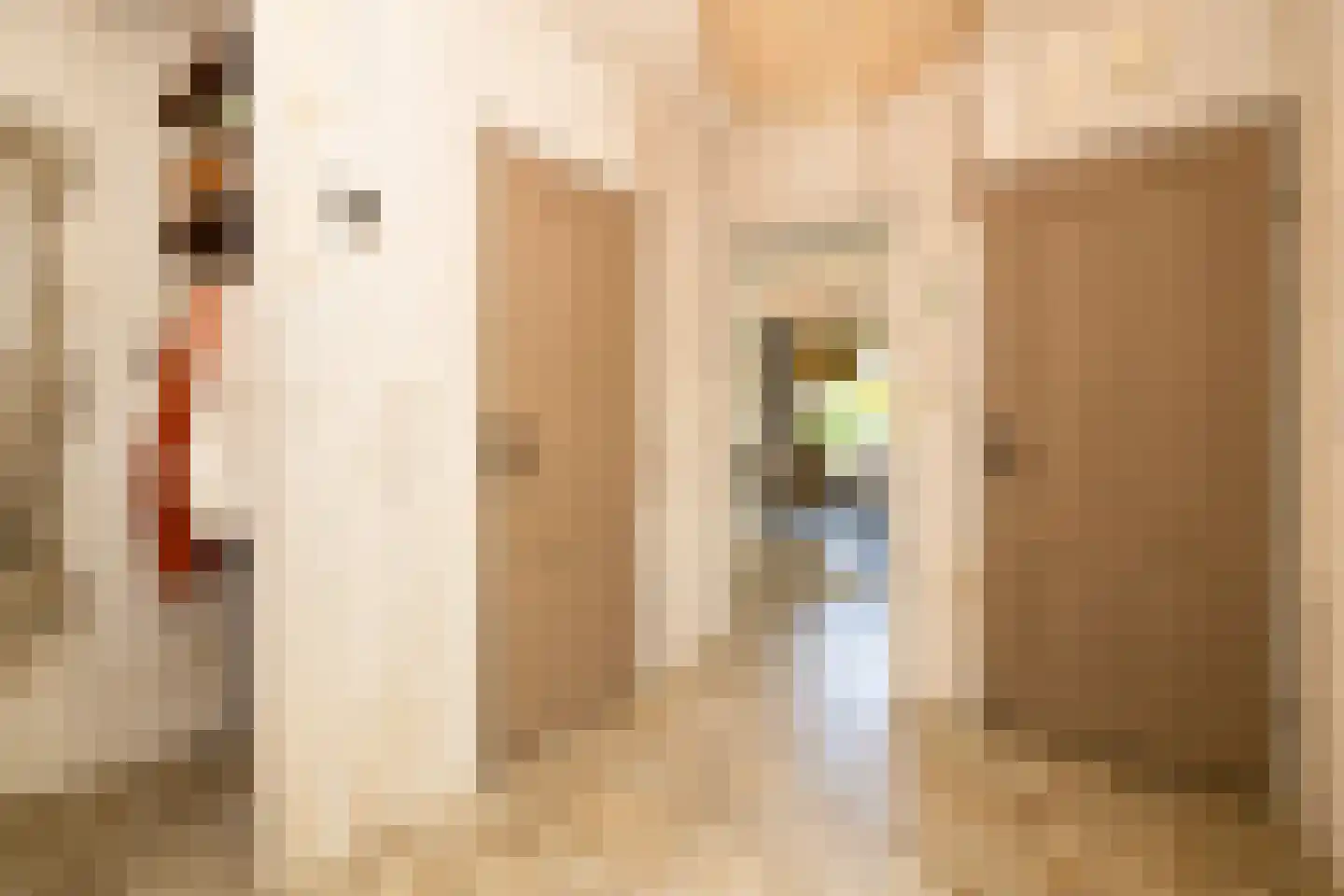 Kruilier 2 Wateringen thumbnail 9