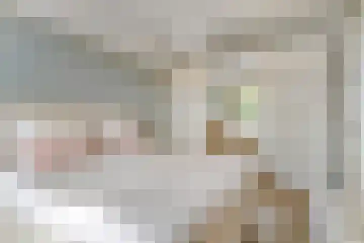 Kruilier 23 Moerkapelle thumbnail 28