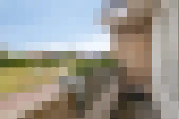 Kruilier 23 Moerkapelle thumbnail 30