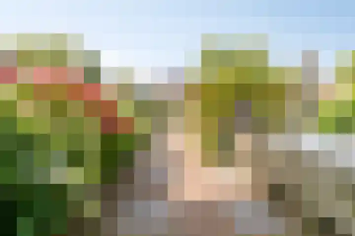 Kruilier 23 Moerkapelle thumbnail 4