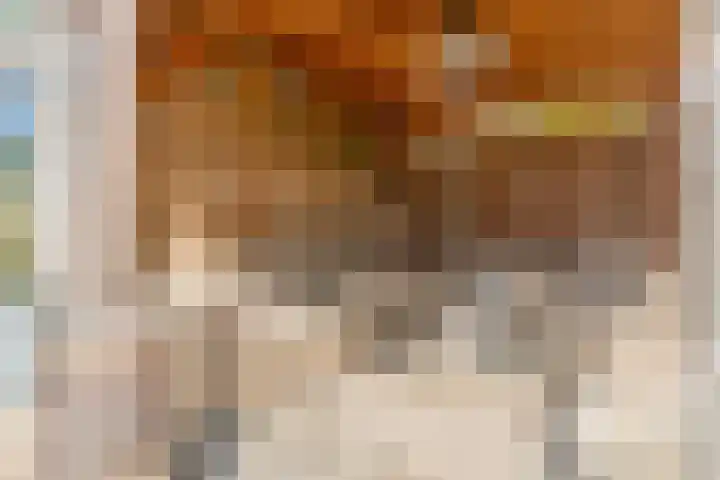 Kruilier 23 Moerkapelle thumbnail 47