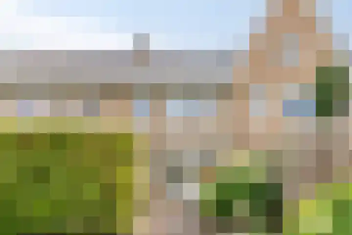 Kruilier 23 Moerkapelle thumbnail 51