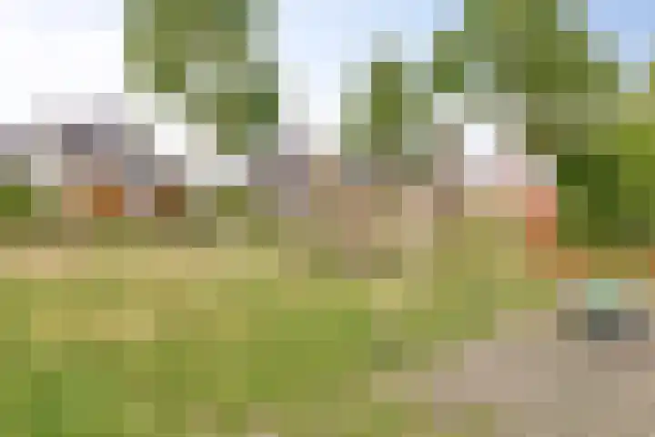 Kruilier 23 Moerkapelle thumbnail 53