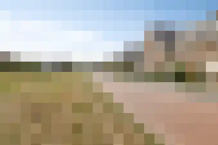 Kruilier 23 Moerkapelle thumbnail 6