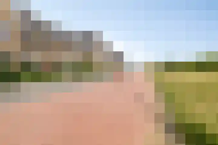 Kruilier 23 Moerkapelle thumbnail 7