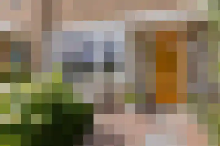 Kruilier 23 Moerkapelle thumbnail 8