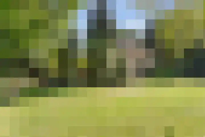 Kruimersweg 4 a Daarle thumbnail 15