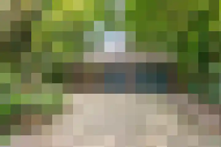 Kruimersweg 4 a Daarle thumbnail 16
