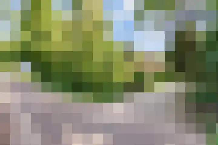 Kruimersweg 4 a Daarle thumbnail 17