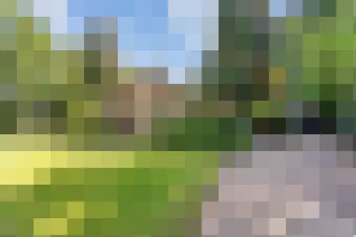 Kruimersweg 4 a Daarle thumbnail 26