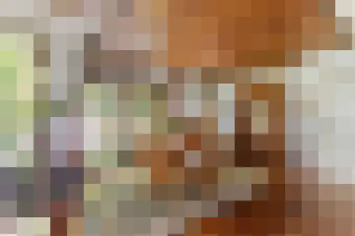 Kruimersweg 4 a Daarle thumbnail 6