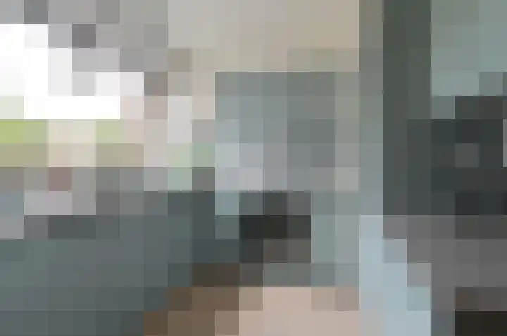 Kruin 13 Huizen thumbnail 13