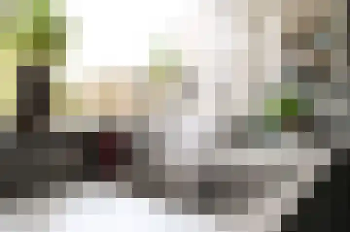 Kruin 13 Huizen thumbnail 15