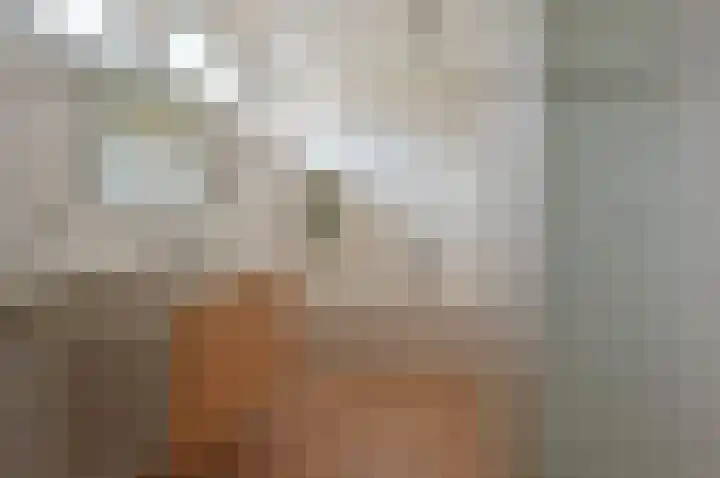 Kruin 13 Huizen thumbnail 20