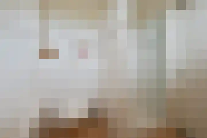Kruin 13 Huizen thumbnail 21
