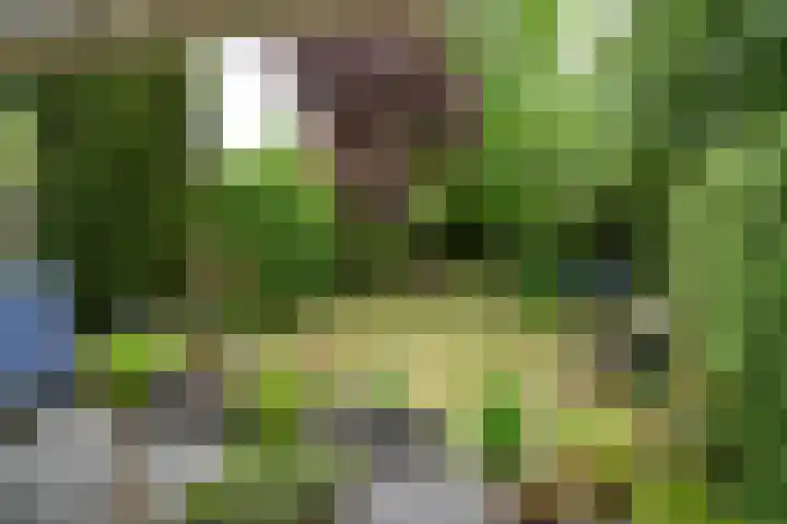Kruin 13 Huizen thumbnail 4