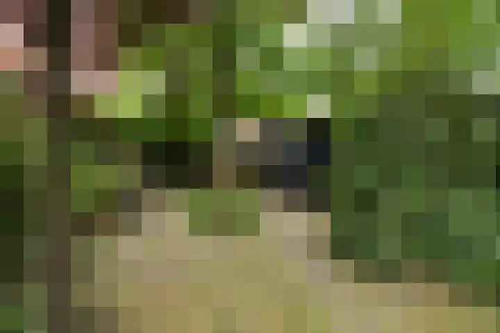 Kruin 13 Huizen thumbnail 6