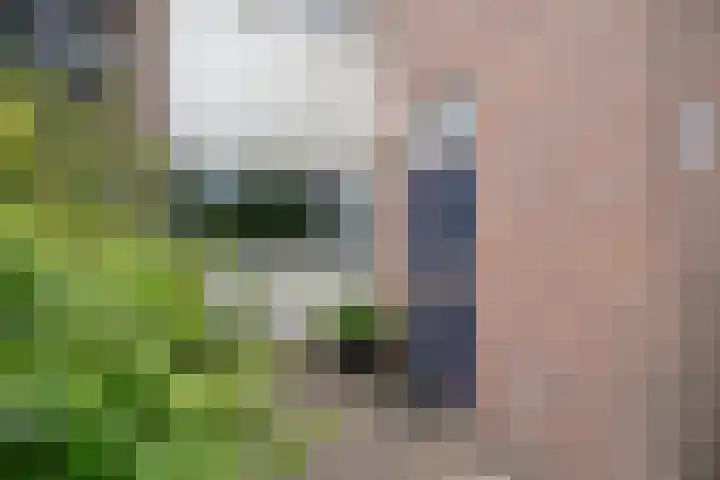 Kruin 13 Huizen thumbnail 7