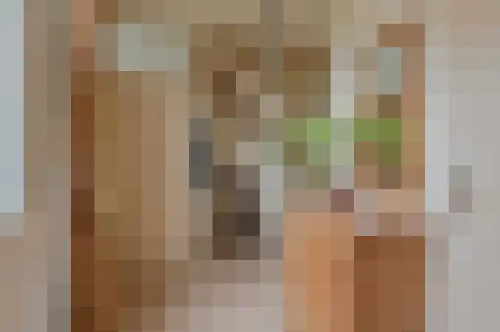 Kruin 13 Huizen thumbnail 8