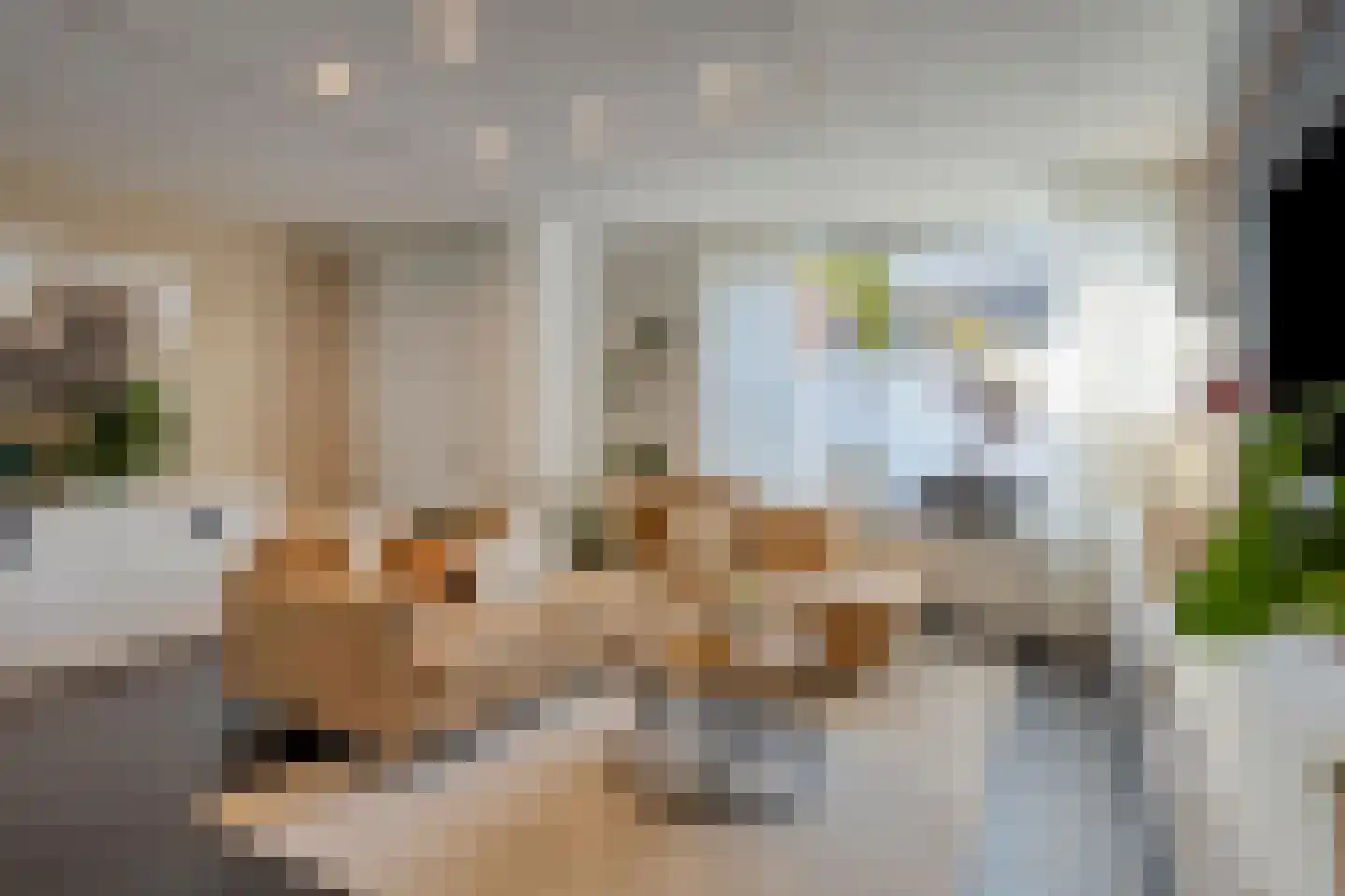 Kruiningenstraat 100 Tilburg thumbnail 5
