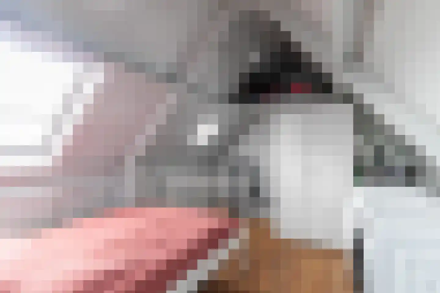 Kruiningenstraat 39 Tilburg thumbnail 24