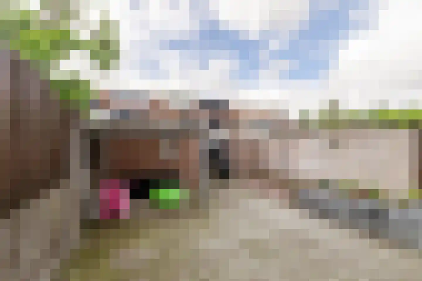 Kruiningenstraat 39 Tilburg thumbnail 31